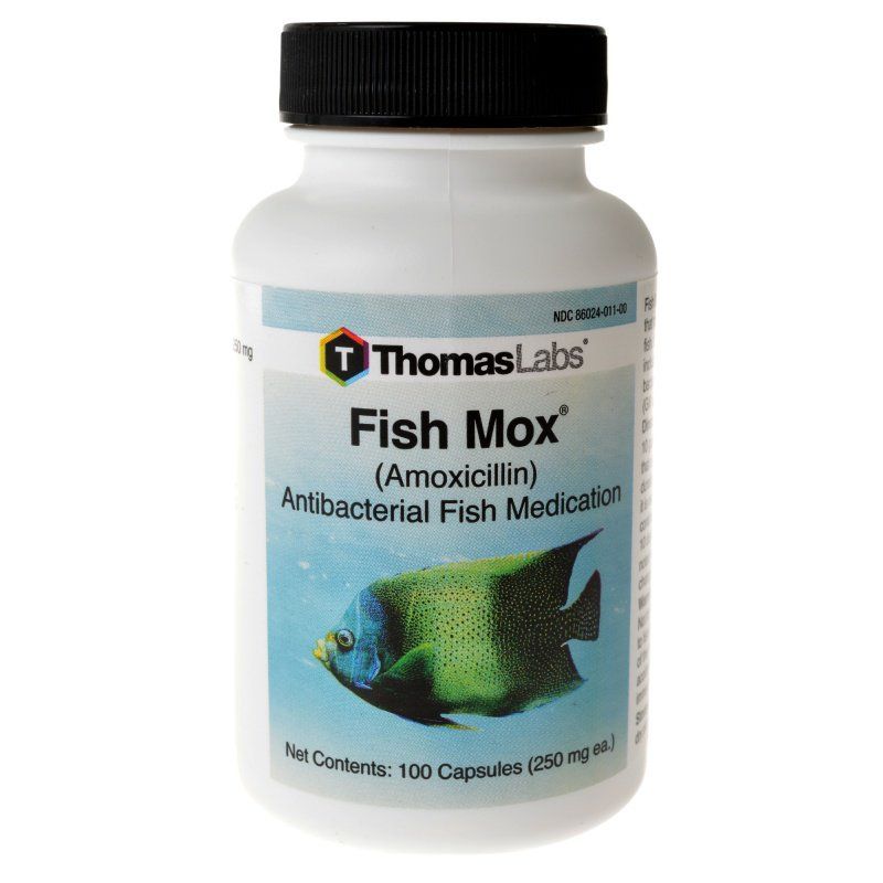 Fish-mox Catalog Sale | www.ernakulamdistrictolympicassociation.org